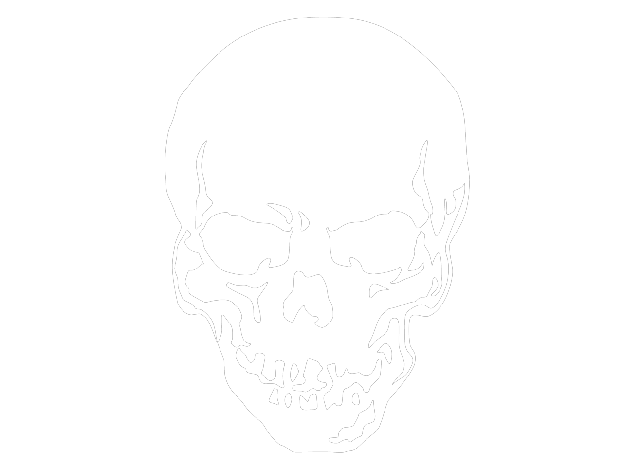 skull